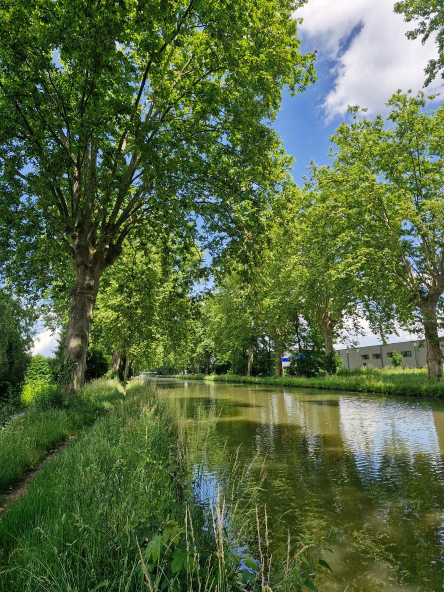 Gite-Appart Com' "Des Cimes Et Jardin" Illkirch-Graffenstaden Zewnętrze zdjęcie